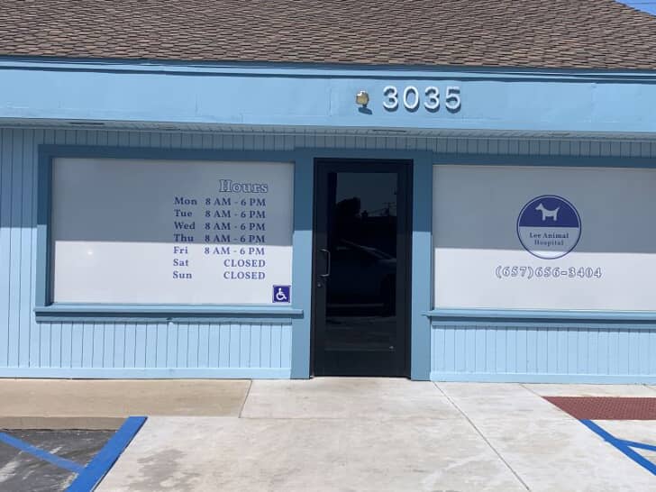 Window & Wall Graphics